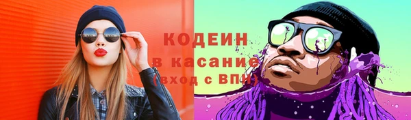 соль ск Алексин