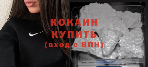 соль ск Алексин