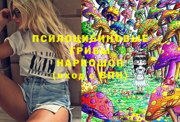 соль ск Алексин